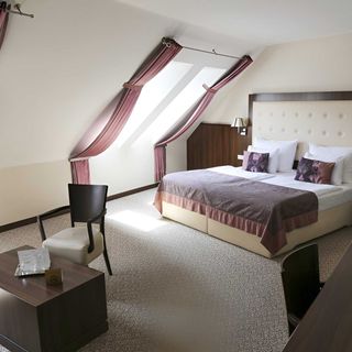 Hotel Sladovna Černá Hora (3)