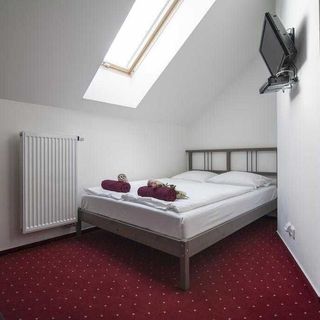 Krušnohorský Dvůr Dubí (4)