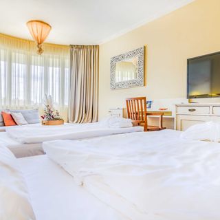 Villa St.Tropéz Praha (4)