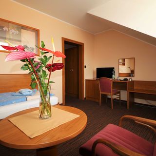 Lázeňský dům Palace II Františkovy Lázně (4)