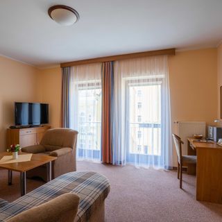 Lázeňský dům Palace II Františkovy Lázně (3)