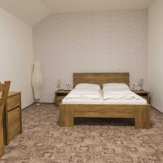 Wellness penzion U Jirsáka Vikýřovice (4)