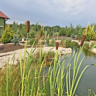 Lakeview Apartments Kunětická Hora Dříteč (5)