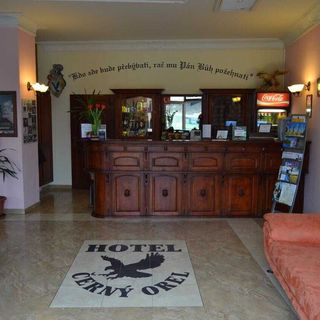 Černý Orel Žatec (2)