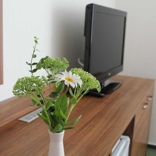 Penzion Zichovecký pivovar Zichovec (4)