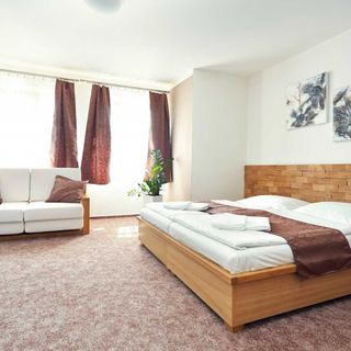 Vila Encore Valašské Meziříčí (3)