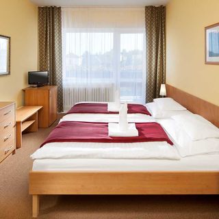 Penzion Hubert Františkovy Lázně (3)