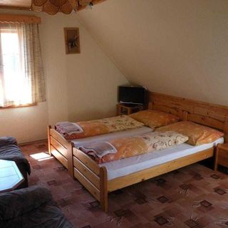 Hotel Lesní dům Janské Lázně (5)