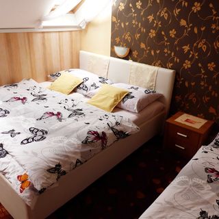 Apartmány Plischke Lipová-lázně (3)