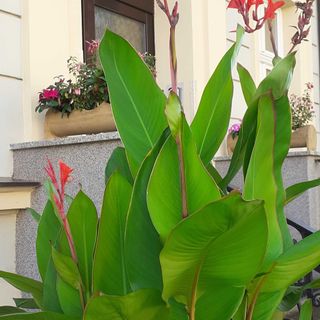 Penzion U sv. Kryštofa Praha (3)