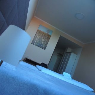 Penzion a restaurace U Hroznu Velké Bílovice (4)