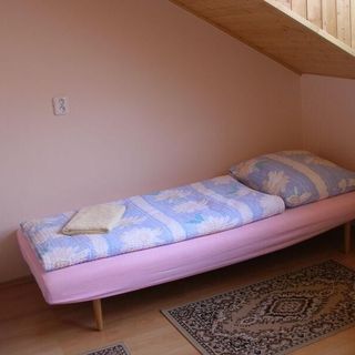 Penzion u Skrblika - Holice (4)