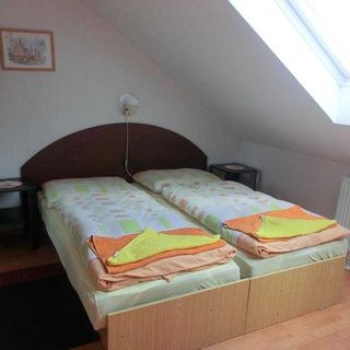 Pension Vyšohlíd Praha (4)