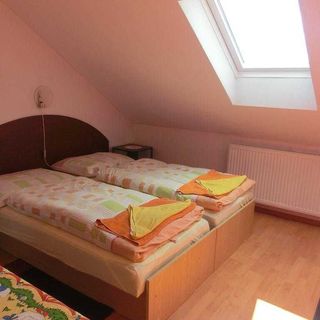 Pension Vyšohlíd Praha (5)