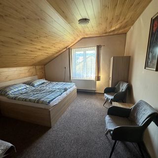 Rodinný Penzion Mirei Bělá pod Pradědem (4)