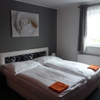 Pension Pugner Vysoké nad Jizerou (4)