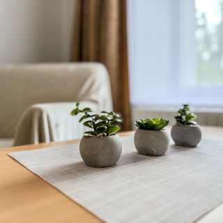 Penzion Ráj Blíževedly (5)