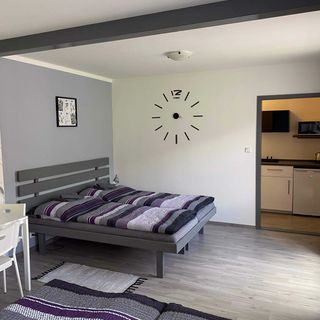 Penzion Kamejk Kamýk nad Vltavou (3)