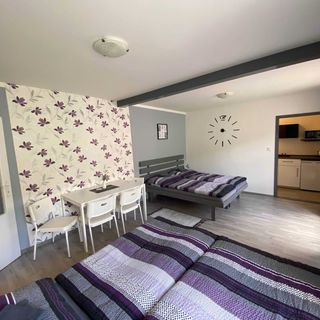 Penzion Kamejk Kamýk nad Vltavou (4)