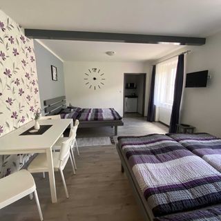 Penzion Kamejk Kamýk nad Vltavou (5)