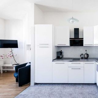 Modern Apartment Riegrovy sady Praha (5)