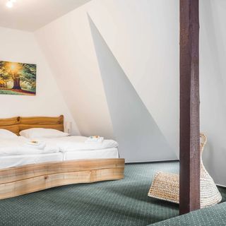 Hotel Konopiště Nová myslivna Benešov (5)