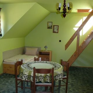 Pension Vladimír Janské Lázně (4)