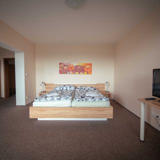 Penzion U Bláhů Dolany (4)