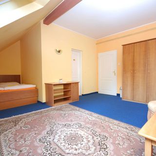 Pension pod Lípou Řeka (5)