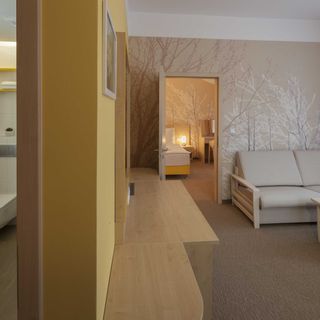 Lázeňský hotel Terra Janské Lázně (5)