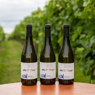 Sklep u Veselých Mutěnice (5)