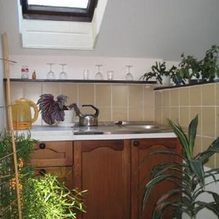 Pension a Restaurace Za rybníkem Toužim (3)