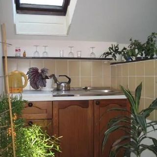 Pension a Restaurace Za rybníkem Toužim (3)