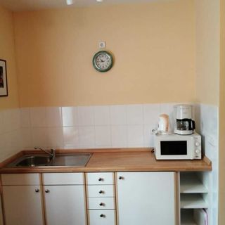 Apartmány Český Dvůr Mariánské Lázně (3)