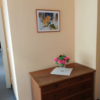 Apartmány Český Dvůr Mariánské Lázně (4)