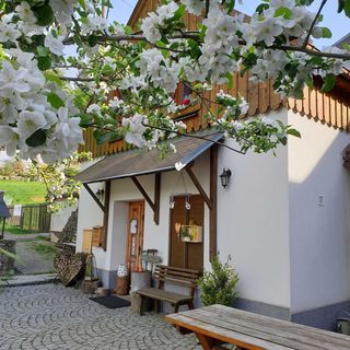 Penzion Česká Chalupa Liberec (3)