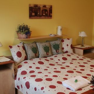 Hotel Dělnický Dům Odry (3)