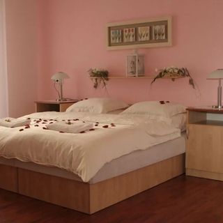 Hotel Dělnický Dům Odry (2)