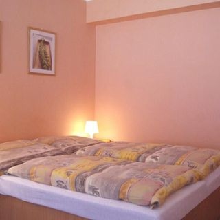 Penzion ALPINA Liberec (2)