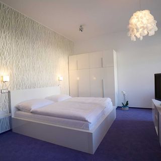 Lázeňská vila Eugen Karlova Studánka (2)