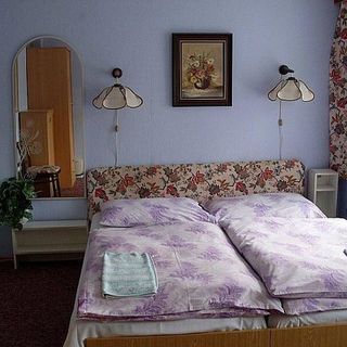 Pension Pavla Karlovy Vary (5)