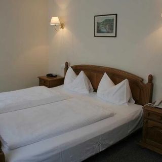 Penzion Villa Rosa Karlovy Vary (3)