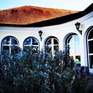 Ginti Panzió Magyarszombatfa (3)