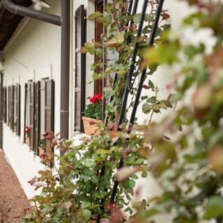 Fiastyúk Udvarház Csór (3)