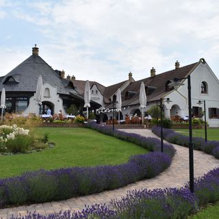 Fiastyúk Udvarház Csór (4)