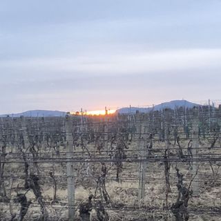 Apartmány nad sklepem Velké Pavlovice (5)