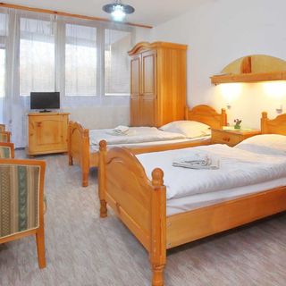 Lázeňský dům Borina Bojnice (2)