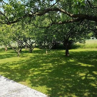 Dovolená na Hukvaldech Hukvaldy (4)