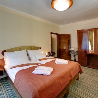 Parkhotel Forest Mariánské Lázně (4)