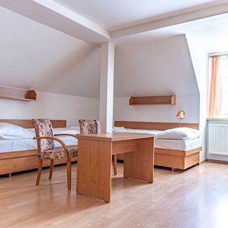 Lázeňský dům Bezruč Karlova Studánka (5)